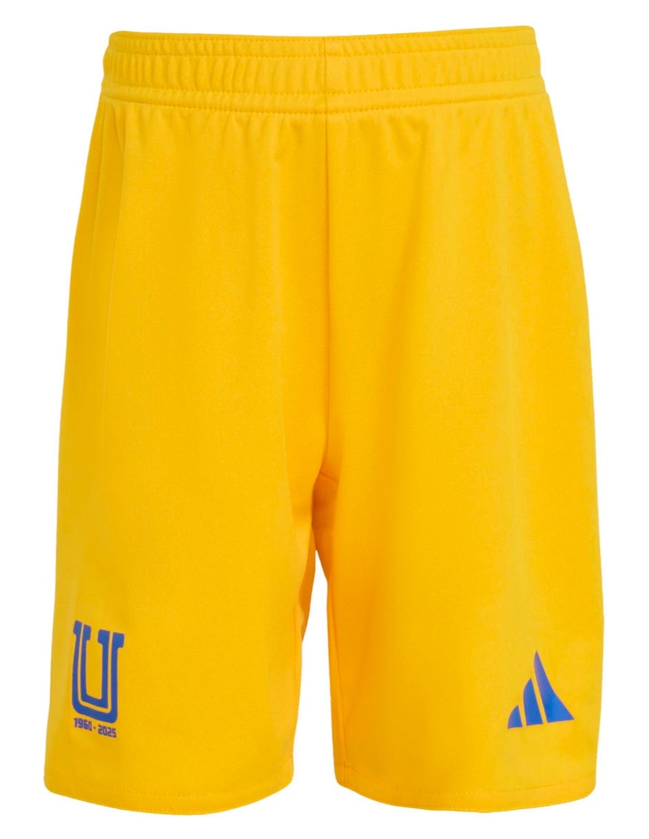 Conjunto deportivo tigres para niño 10