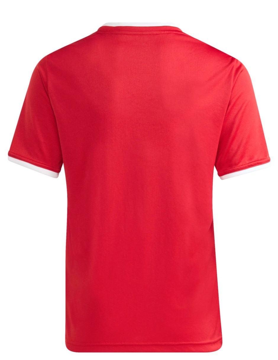 Jersey de entrenamiento manga corta Adidas para niño
